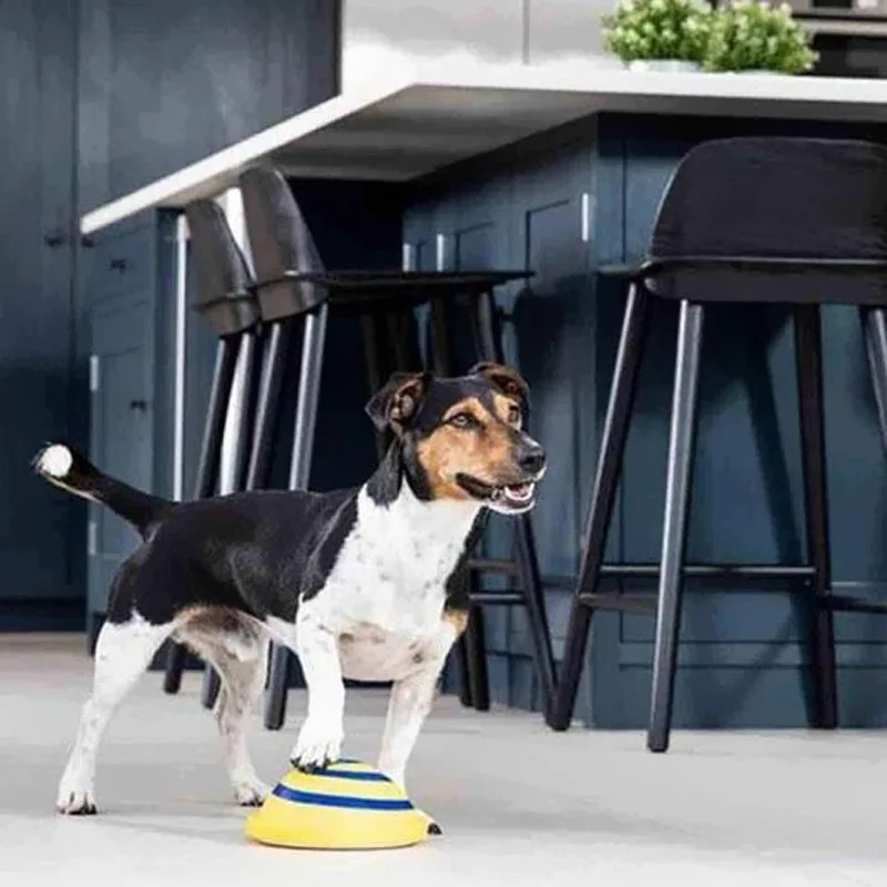 Диск-слайдер для домашних питомцев резиновый собачьи пищащие игрушки уникальные