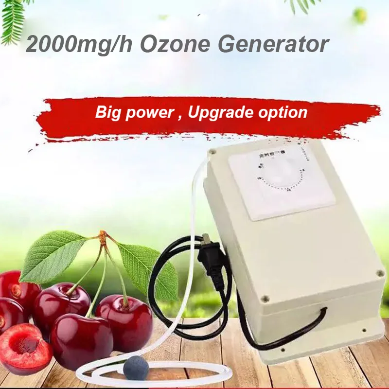 Генератор озона с таймером 220 В 2000 мг/ч| |