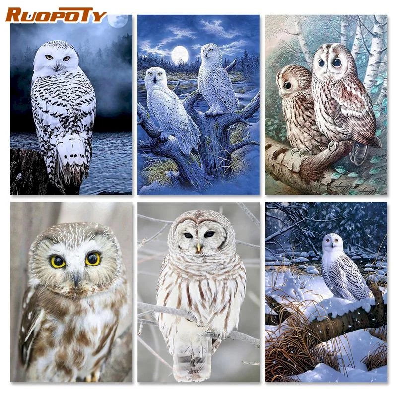 

RUOPOTY Oil Painting By Numbers Owl Canvas Painting Kits Home Decoration Painting By Numbers DIY Animal Handmade Gift