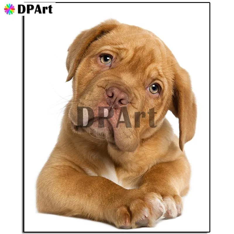 Алмазная живопись 5D квадратная/круглая вышивка с изображением собаки Бордо