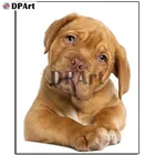 Алмазная живопись 5D, квадратнаякруглая вышивка с изображением собаки, Бордо, мастифф, алмазная вышивка, вышивка крестиком, мозаика, хрусталь M871
