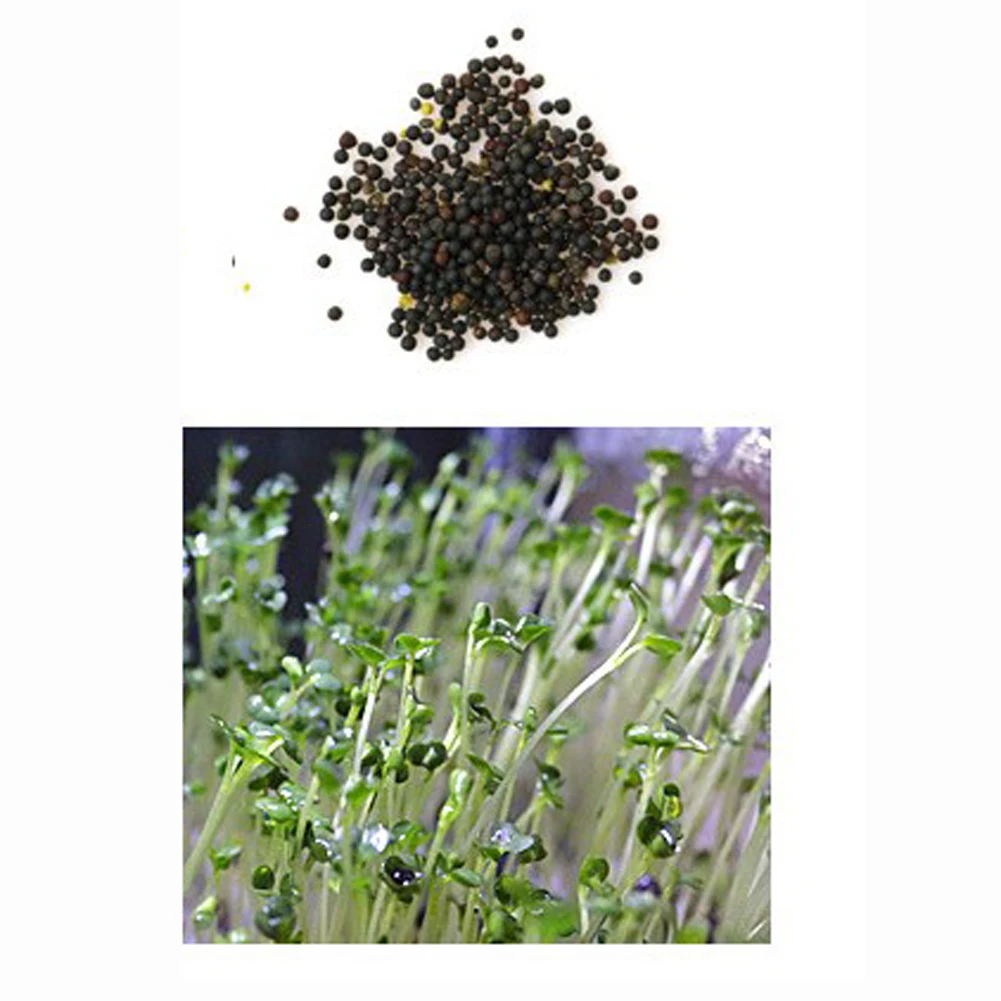 

Eco-Friendly Aquarium Fish Tank Ornaments Artificial Water Plastic Green Grass Plant Lawn Aquatic Aquarium Fish Tank Decor