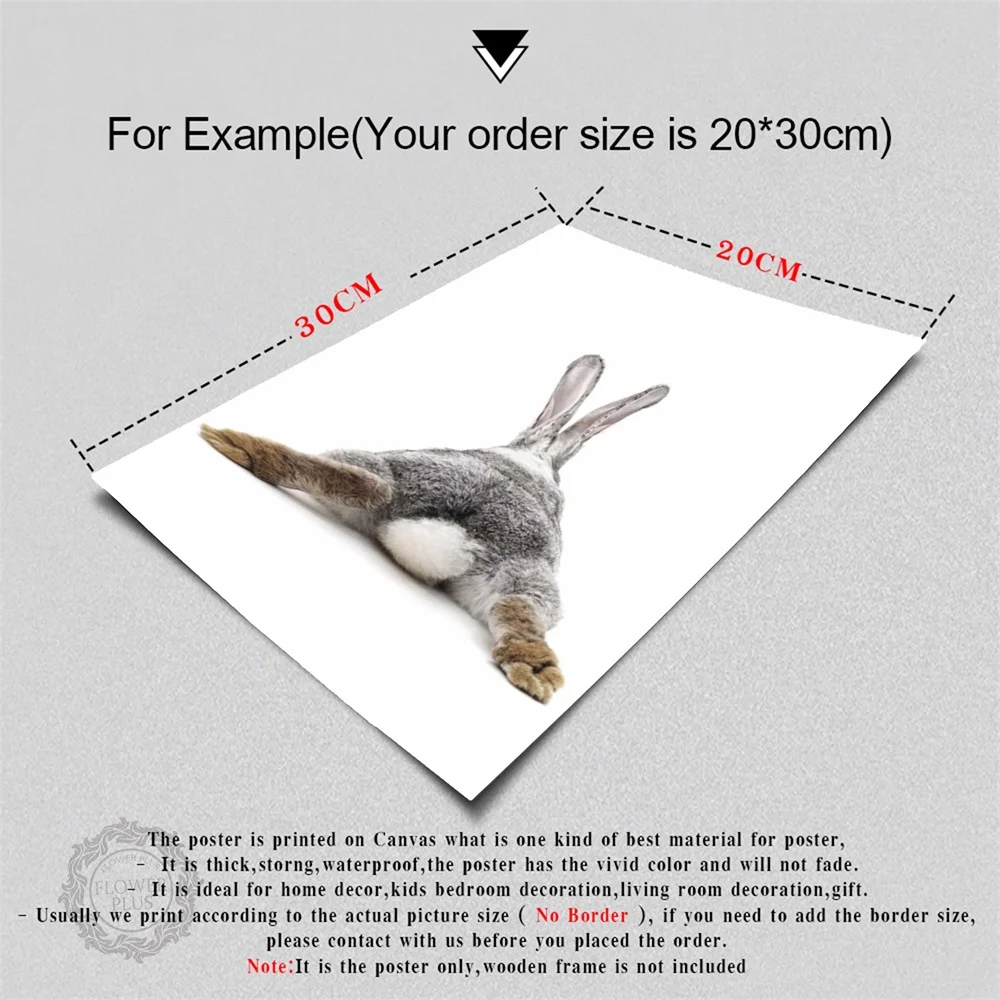 

Black White Rabbit Matata Quotes Wall Art Canvas Painting Posters And Prints Wall Pictures For Living Room Decor bilder tableau