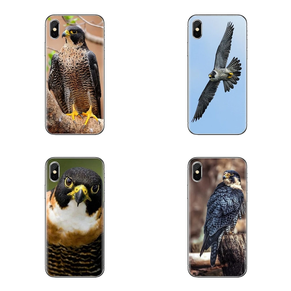 Чехол Peregrine Falcon для iPhone XS Max XR X 4 4S 5 5S 5C SE 6 6S 7 8 Plus Samsung Galaxy J1 J3 J5 J7 A3 A5|Бамперы| |