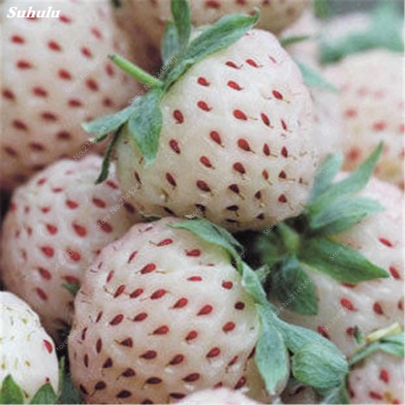 1000 шт./пакет супер гигантская клубника Декор искусственные цветочные горшки |