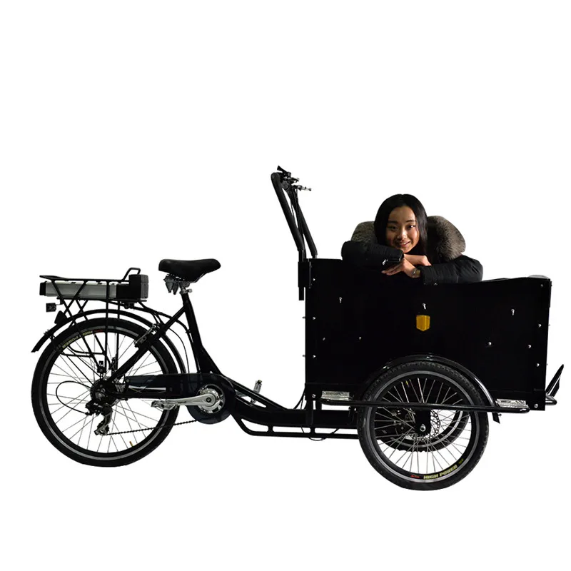 Электрический 3 х колесный велосипед для взрослых пикап Педаль Грузовой BikeTtrike