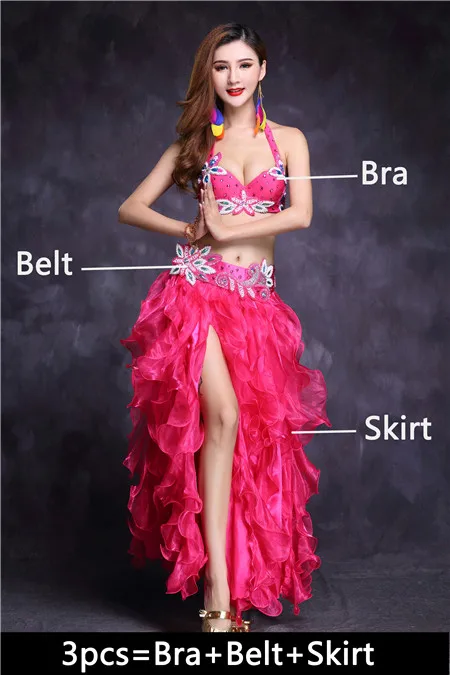 Rose Red 3pcs Высокое качество танец живота костюм юбка для танца живота танцевальное платье Топ Бюстгальтер Болливуд Египетский Восточный танец одежда для взрослых женщин Новинка - Цвет: Rose Red 3pcs