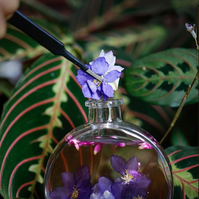 

Natural Reed Oil Diffusers Sticks Creative Glass Bottle Scented Oil Portable Relaxing Fragrance For Festival Party Gifts