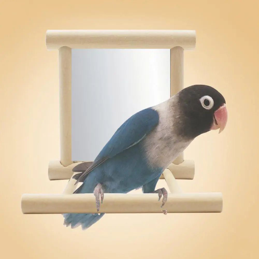 

Parrot Chewing Toy Solid Wood Stand Pet Bird Stand Playground Toy Small Birds Swing Birdcage Accessories