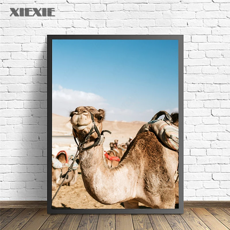 Настенное украшение пустыня верблюд искусство и принты Картина на холсте