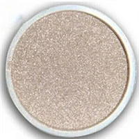 

Nano silver coated copper powder 50g