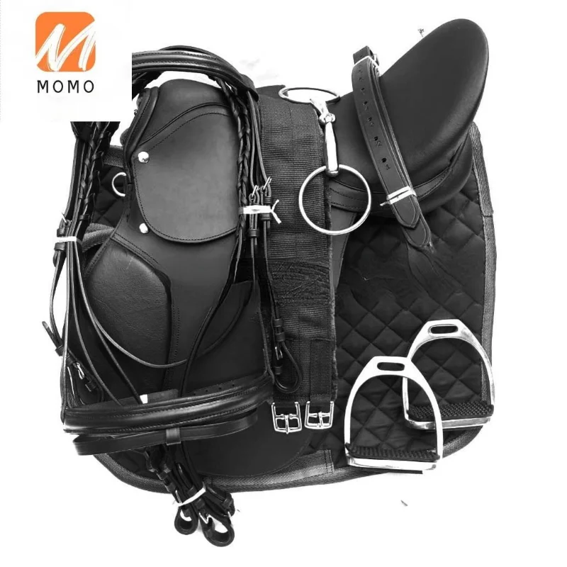 

JUMPING ENGLISH HORSE SADDLE FULL SET