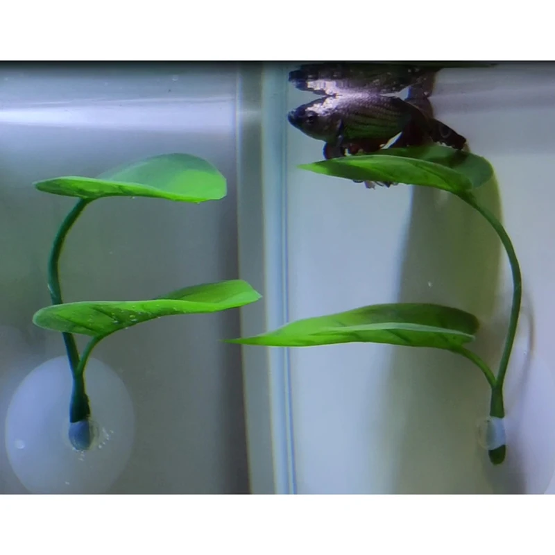 

Double-Layered Simulation Ornamental Leaf Betta Fish Rest Spawning Leaf Betta Fish Bed Hammock for Fish Tank Aquarium MDJ998
