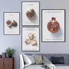 Настенный плакат с изображением инжира, граната, чеснока, грибов
