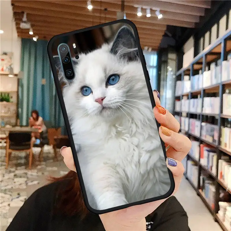 

eye funny lovely ragdoll cat Phone Cases For Huawei honor Mate P 9 10 20 30 40 Pro 10i 7 8 a x Lite nova 5t Soft silicone funda