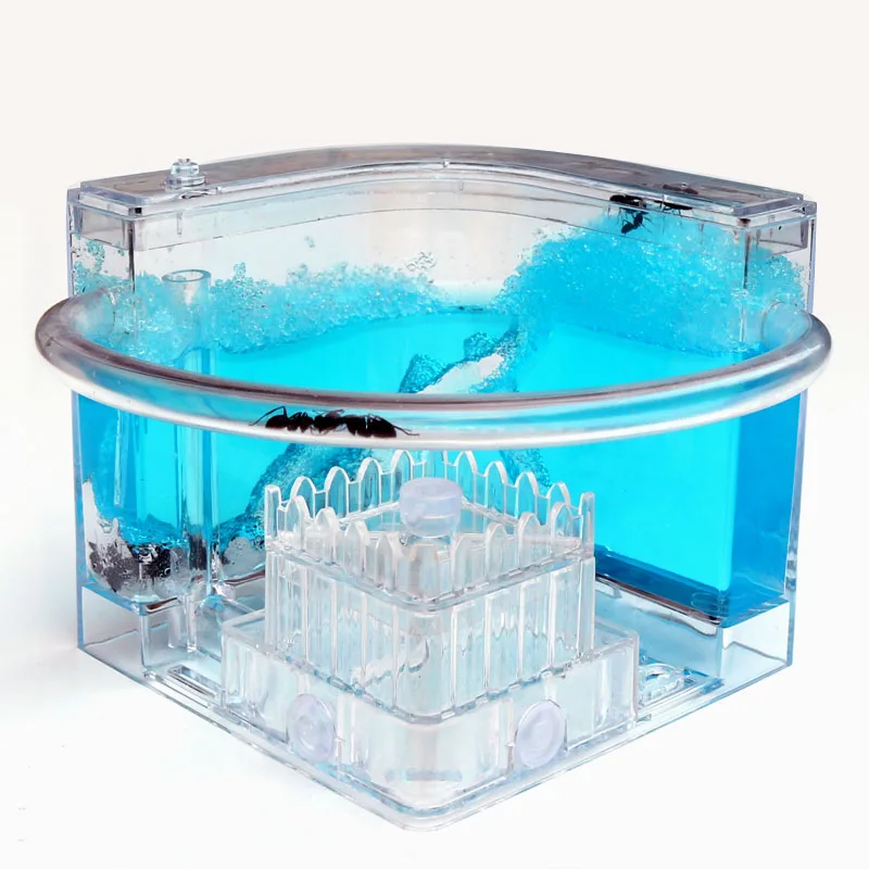 Муравьиная мастерская американские горки экологическое песочное гнездо