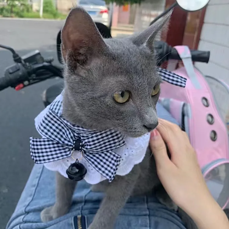 Кружевной нагрудник с бантом и жемчужинами для кошек собаки женский котят милый