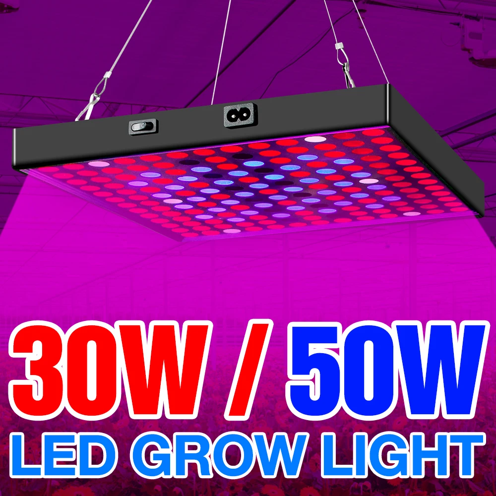 

LED Grow Light 20W 30W 40W 50W Growing Lamps LED Full Spectrum Plant Lamp Fitolampy For Flowers Seedling Cultivation AC85-265V