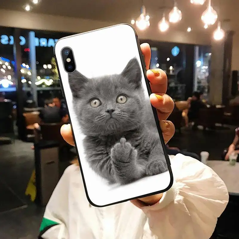 

cat funny Cute animal Phone Case for iPhone 11 12 mini pro XS MAX 8 7 6 6S Plus X 5S SE 2020 XR high quality cover shell