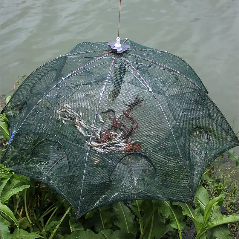 Shrimp Net Fishing Gear Cage Fish Line Green 12 Holes Steel Wire Durable | Спорт и развлечения