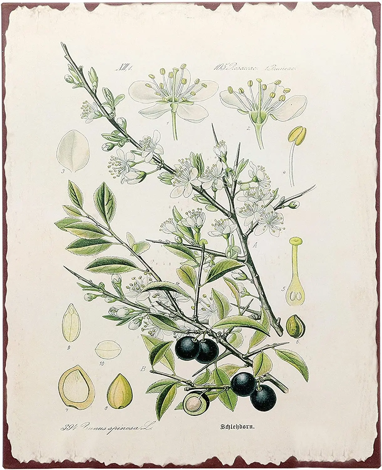 Дизайн Barnyard растительный принт оливкового дерева настенное искусство