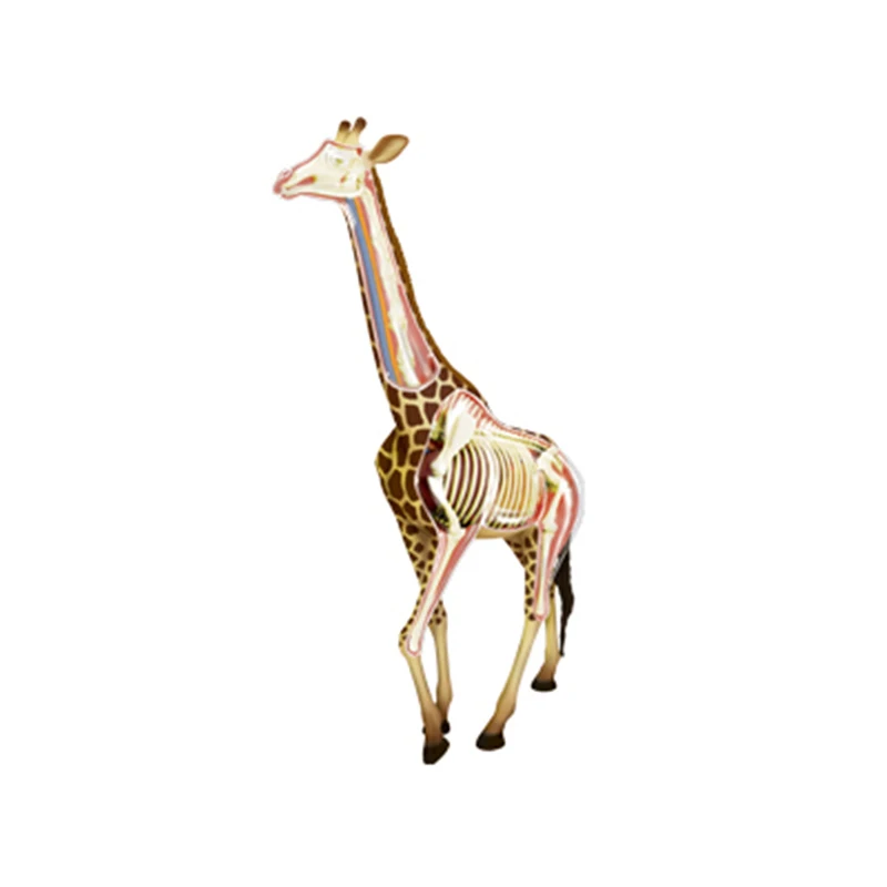 Скелет жирафа картинки