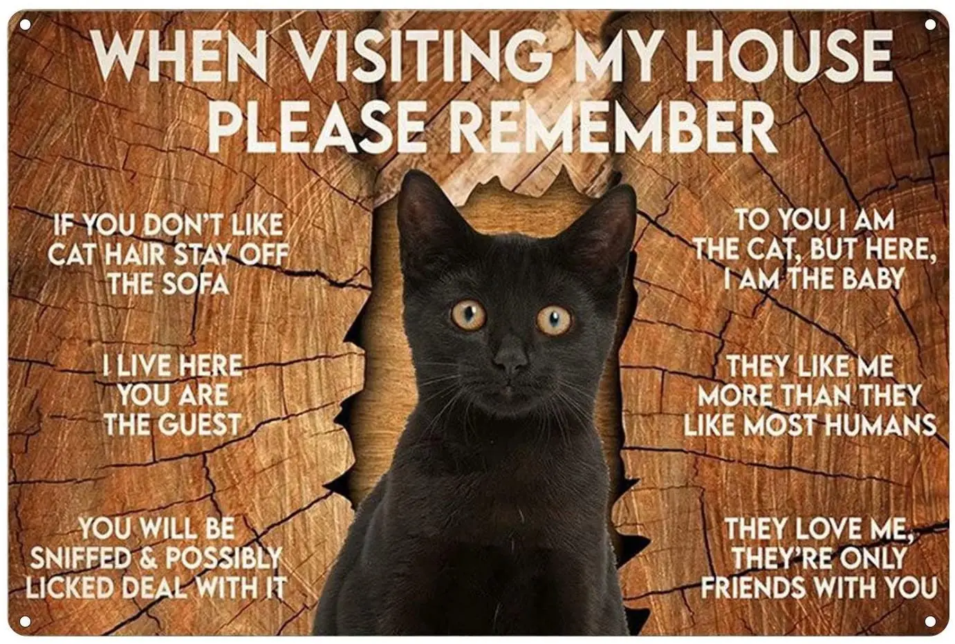 Cat doesn t. Cat poster. you doesn&#039;t/don&#039;t like my cats.