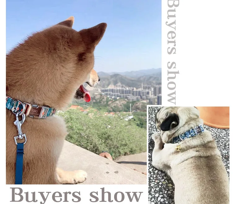 

Nylon dog collar Free Engraving ID tag label personalized dog collar adjustable cat collar small medium large dog cat