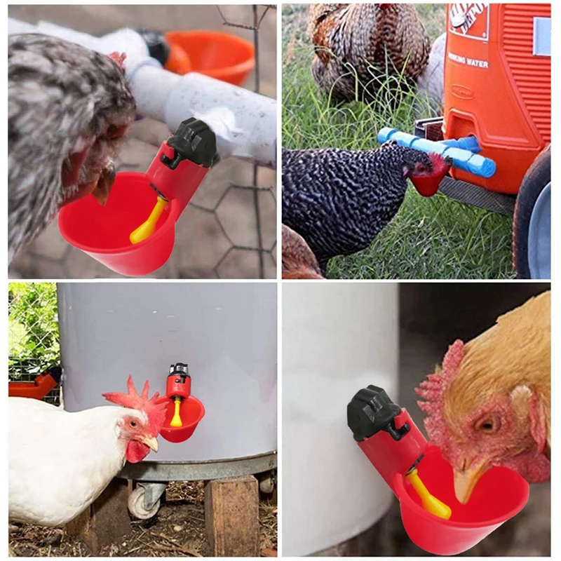 

5PCS Automatic Chicken Drinker Quail Hanging Water Cup Nipple Drinking Bowls Feed Bird Coop Drinker Cups for Backyard Poultry