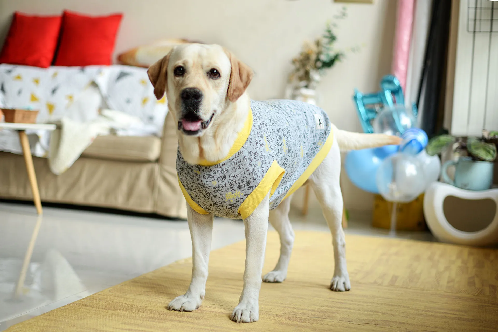 

Big dog cartoon vest sleeveless spring and summer cotton comfortable medium and large dog pet clothes dog clothes