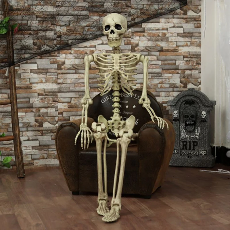 1Pcs Halloween Prop Human Skeleton Full Size Skull Hand Life Body Anatomy Model Decor Miniatures