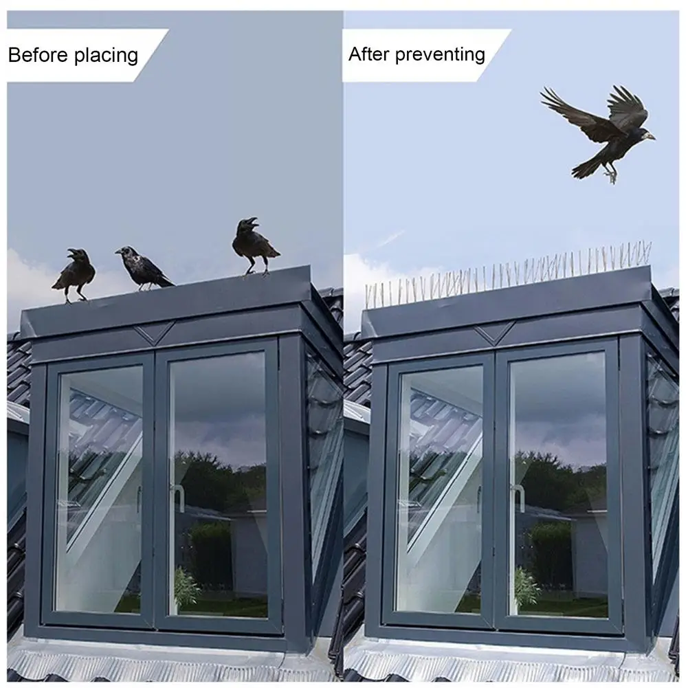 

Durable Plastic Repeller Bird And Pigeon Spikes Repeller Anti Bird Stainless Steel Spike Strip Bird Scarer Repeller For Pigeon