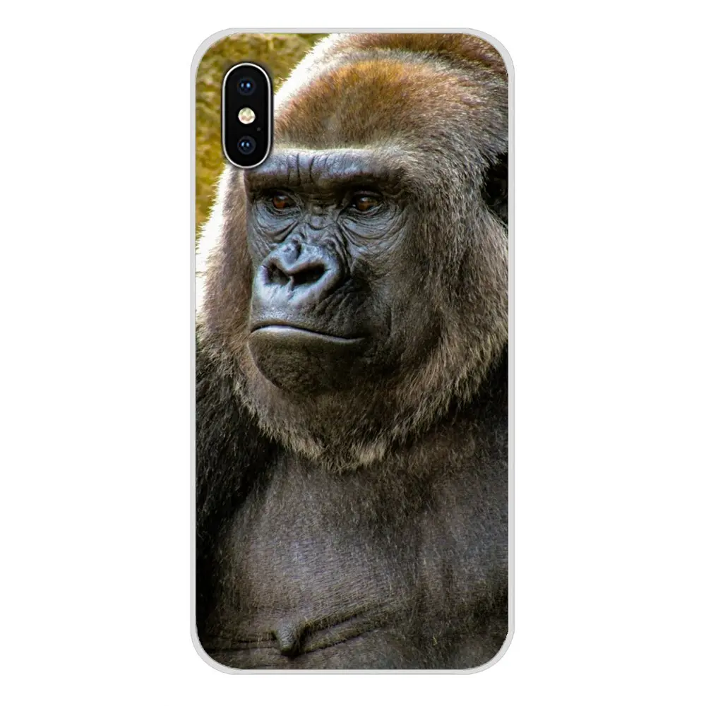 images 11 Для Apple IPhone X XR XS 11Pro MAX 4S 5s 5C SE 6S 7 8 Plus ipod touch 5 6 Аксессуары чехлы для телефонов Обезьяна горилла Ape Baby - Цвет: images 11