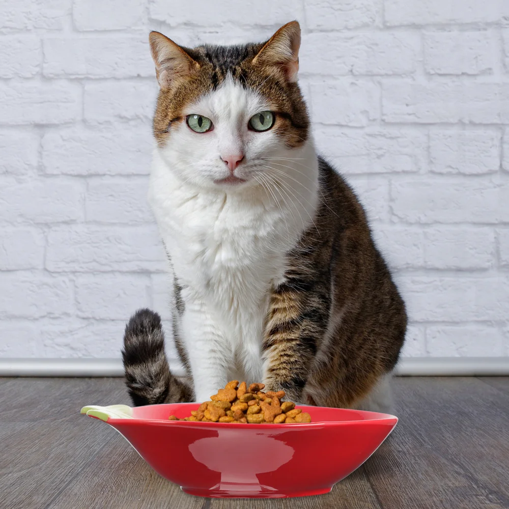 

Small Animals Special Fruit Shaped Bowl Pet Tableware Dog Food Feeding Bowl