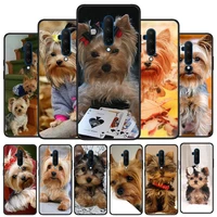yorkshire terrier dog silicone cover for oneplus nord ce 2 n10 n100 9 9r 8t 7t 6t 5t 8 7 6 plus pro phone case shell