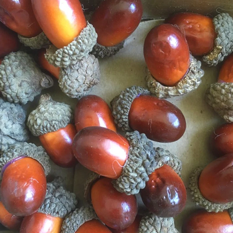 20 шт 3 см пенопластовые сосновые шишки мини искусственный пенопласт фрукты и