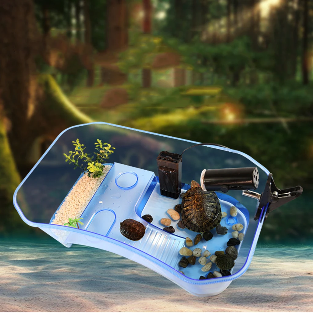 Контейнер для кормления рептилий амфибий черепахов с греющей рампой | Дом и сад