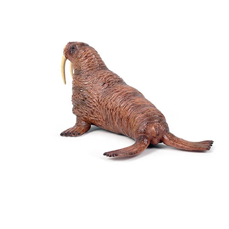 

Ocean Sea Life Animals Walrus Animal Model Action Figures Pvc Figurines Underwater World Simulation Models Toys