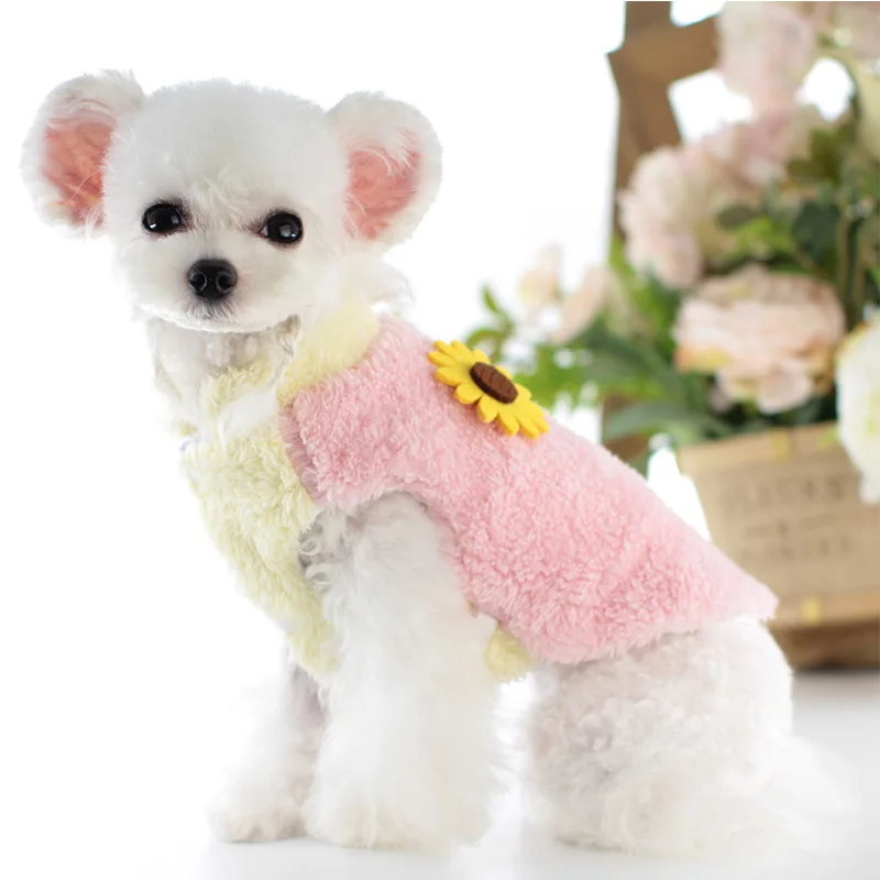 

2021 new lollipop autumn and winter new rainbow girl coat pet dog clothes small dog cat costume