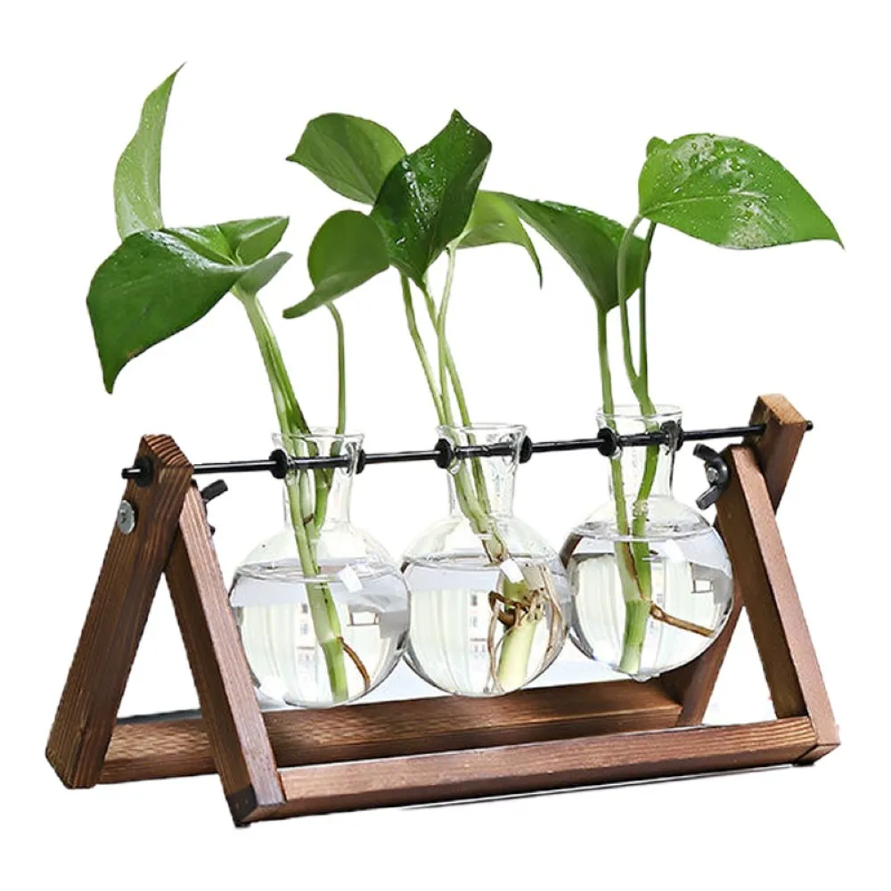 

Terrarium Creative Hydroponic Plant Transparent Vase Wooden Frame vase decoratio Glass Tabletop Plant Bonsai Decor flower Bonsai