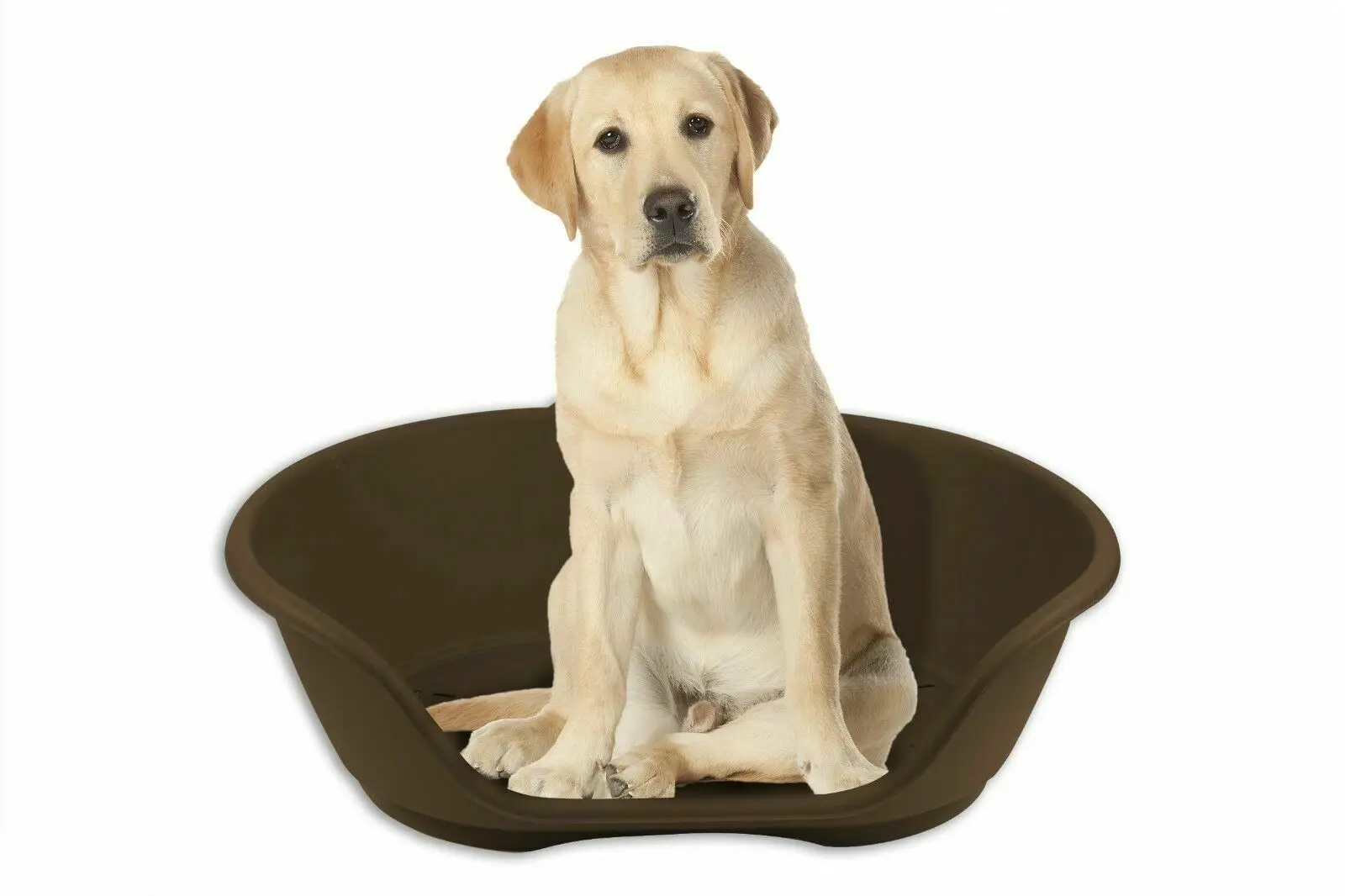 

LARGE Plastic Pet Bed Dog Bed Heavy Duty Waterproof Puppy Cat Cushion Basket