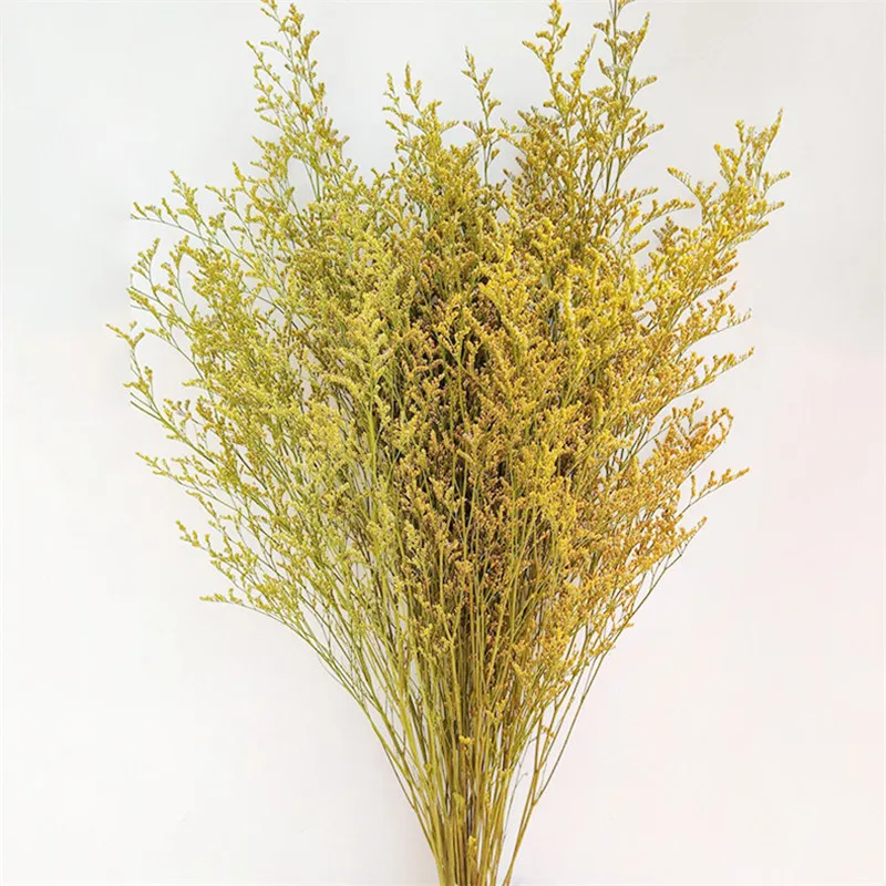 

Light Luxury Everlasting Lover Grass Dried Flower Bouquet For Home Garden Decoration Outdoor Wedding Creative DIY Photography