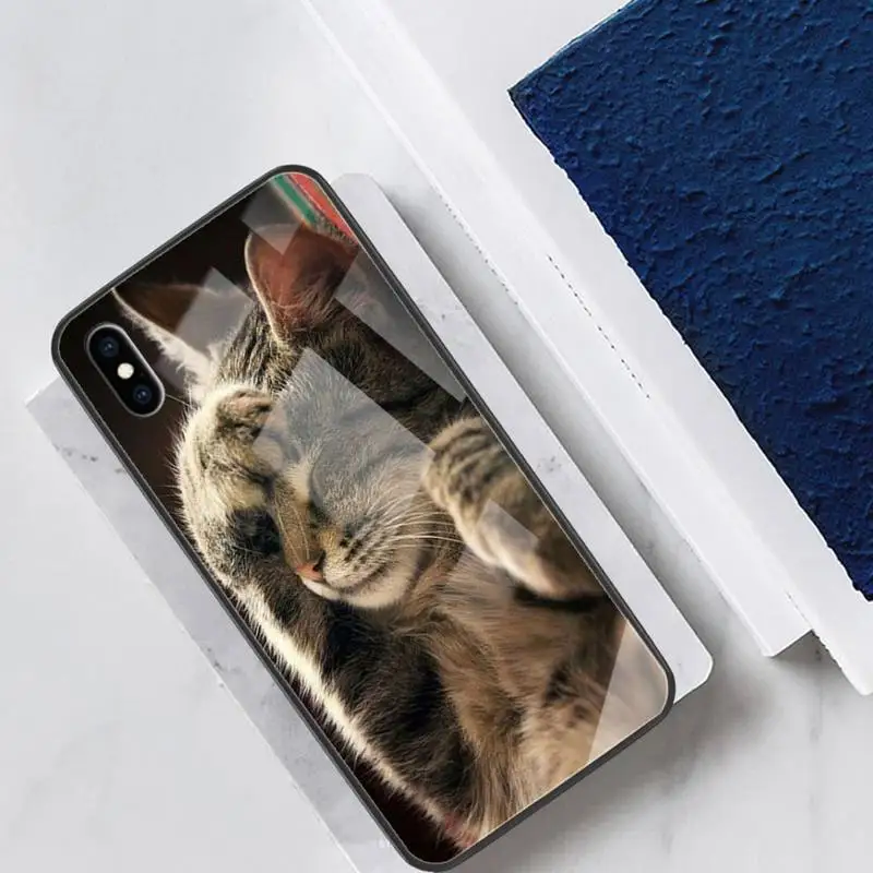 

Cat Phone Case For Ipohne 11 Pro Max XR 8 PLUS Cover Case Glass For Iphone 11 Case