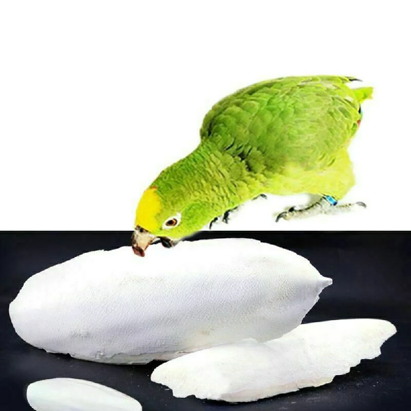 1 пакет рыбка гребешок сепия кости птица еда кальций камень для питомцев попугаи