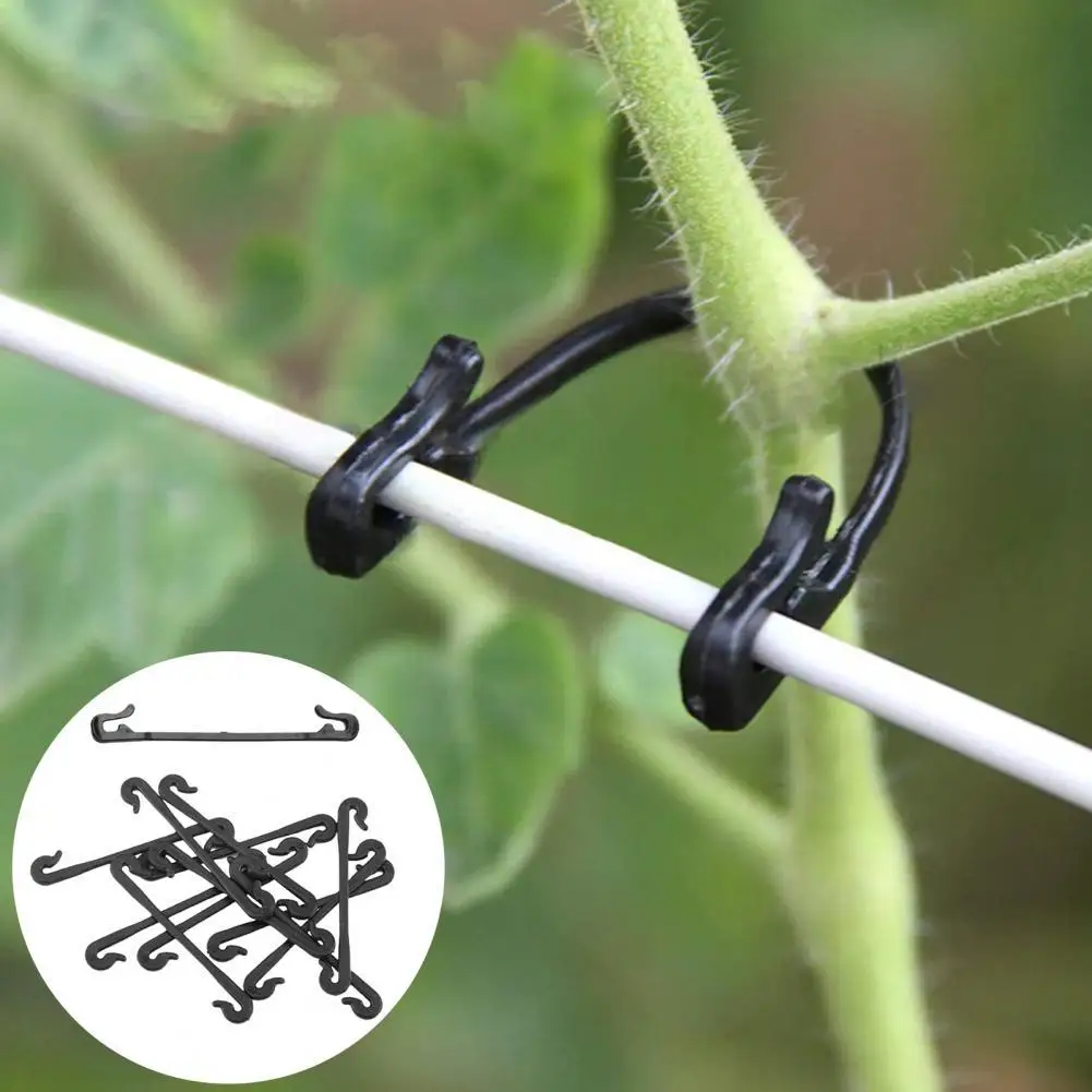 

Black Color 100Pcs Practical Grape Stem Grafting Clips Reliable Plant Ties Eco-friendly for Garden