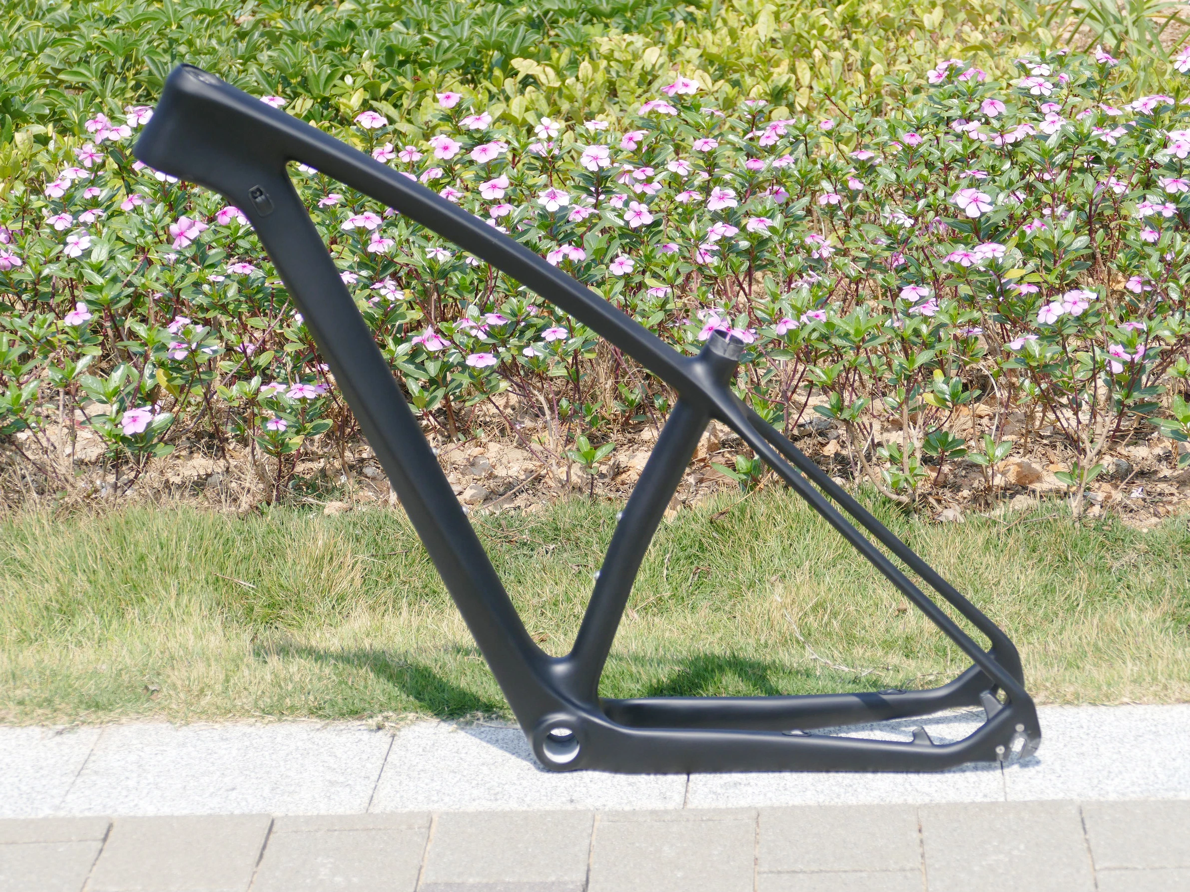 

Full Carbon UD Matt Matte 29ER Mountain Bike Bicycle Cycling MTB BSA BB30 Frame 15" Thru Axle 142 * 12mm / QR 135 * 9mm