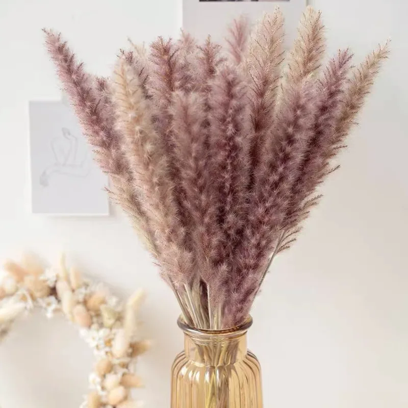 

Bulrush Natural Dried Flowers Artificial Plants Branch INS Pampas Grass Phragmites Fake Flower Wedding Home Decoration christmas