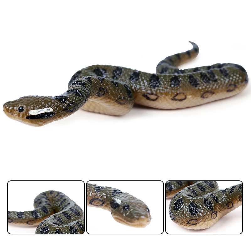 Simulation Anaconda Amphibian Snake Model Toy Child Wild Animal |