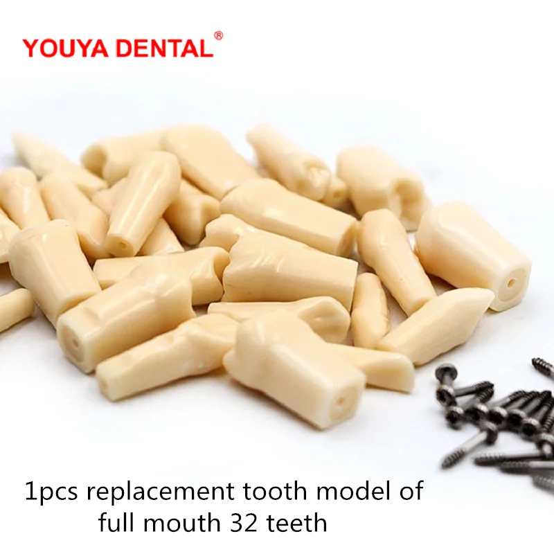 

1pc Dental Tooth Model For Filling Training Practice Simulation Replacement Teeth Model Teaching Dentist Exam Material Supplies