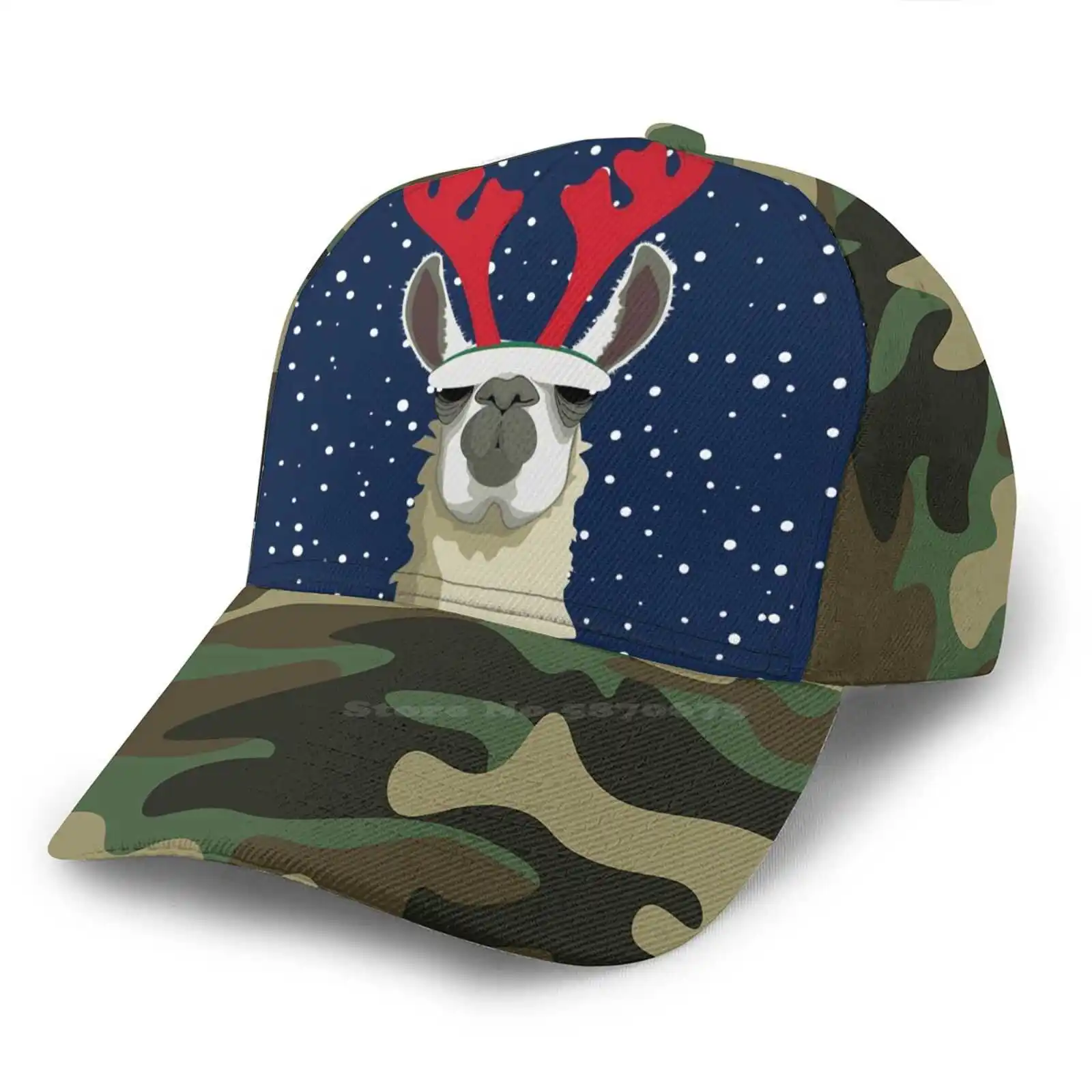 Llet идет снег в стиле хип хоп на плоской подошве шляпа с сеткой Аннет Парри Aparry